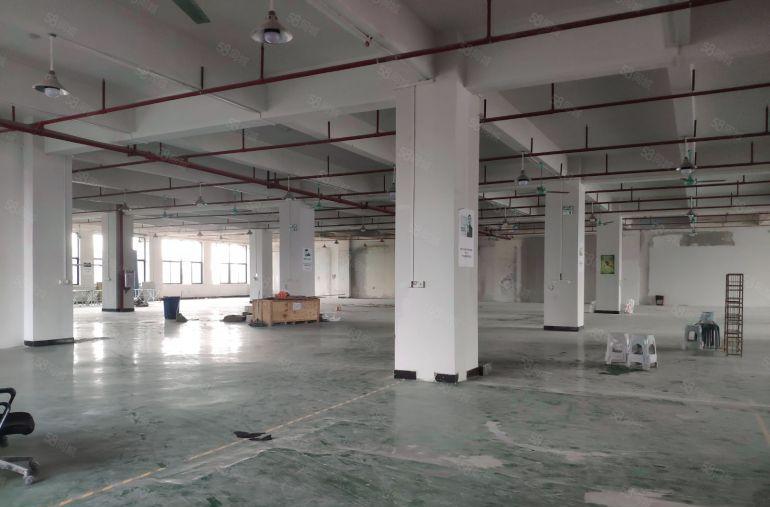 大朗新出新建厂房楼上2500平厂房出租仓库出租，有水电办公室