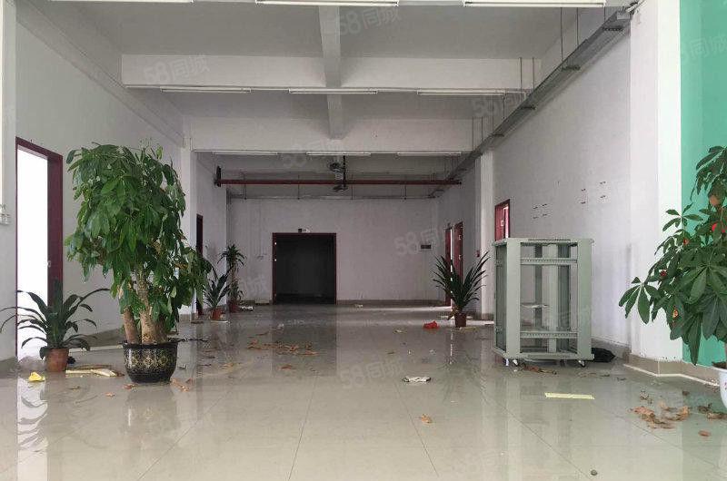 大朗洋乌新出二楼600平方厂房可做工艺品 丝印 注塑等