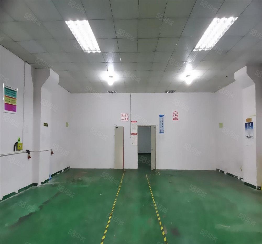 大朗主干道厂房出租一楼350平方，办公室带地坪漆，可做仓库房