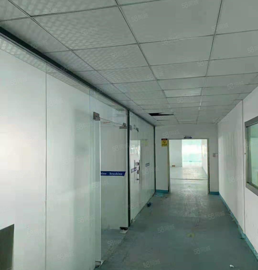 抢租低价12元！大朗工业园800平厂房带装修 3吨货梯