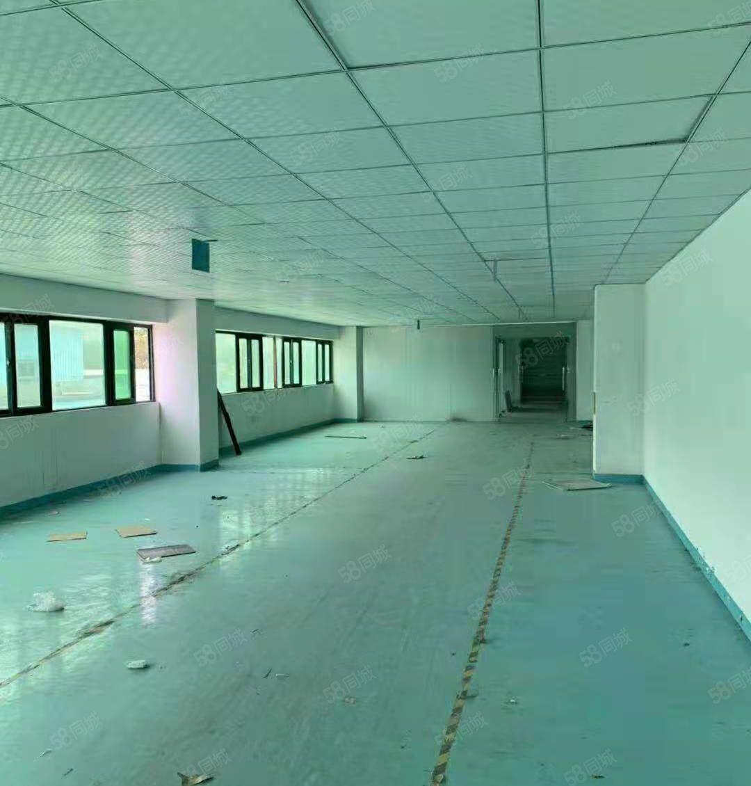 抢租低价12元！大朗工业园800平厂房带装修 3吨货梯