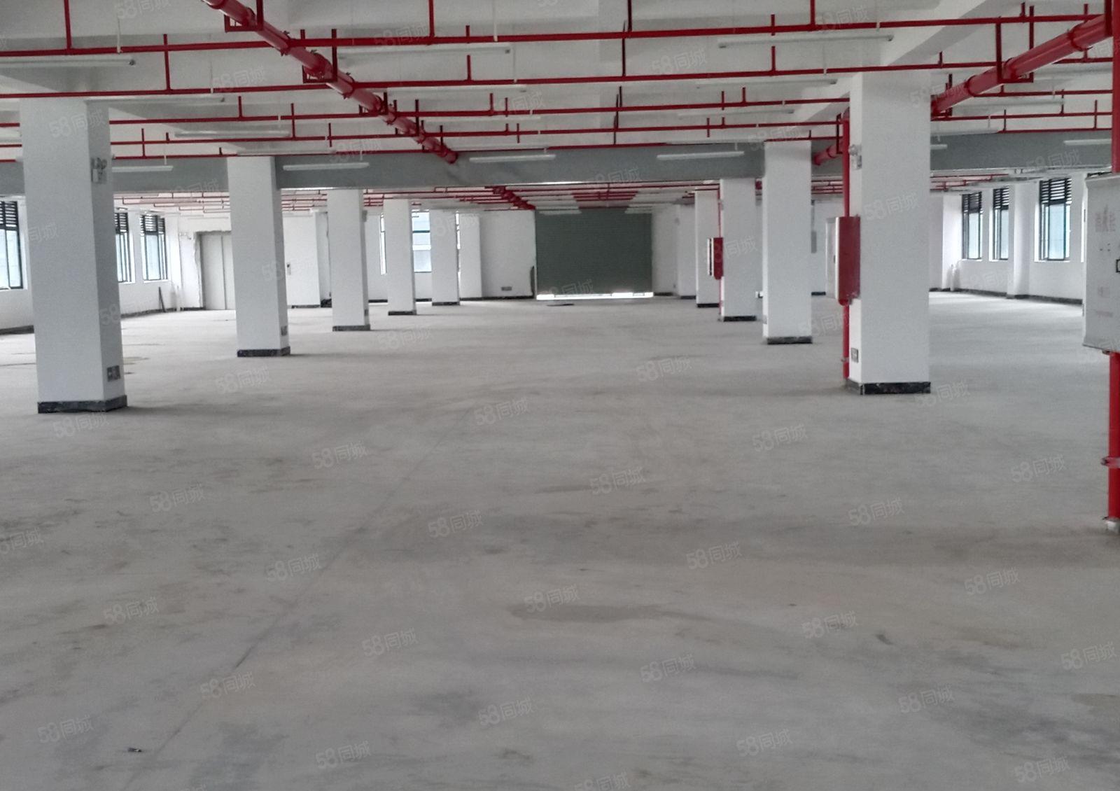 大朗正规工业区全新厂房8万平方 700起分租 上市公司