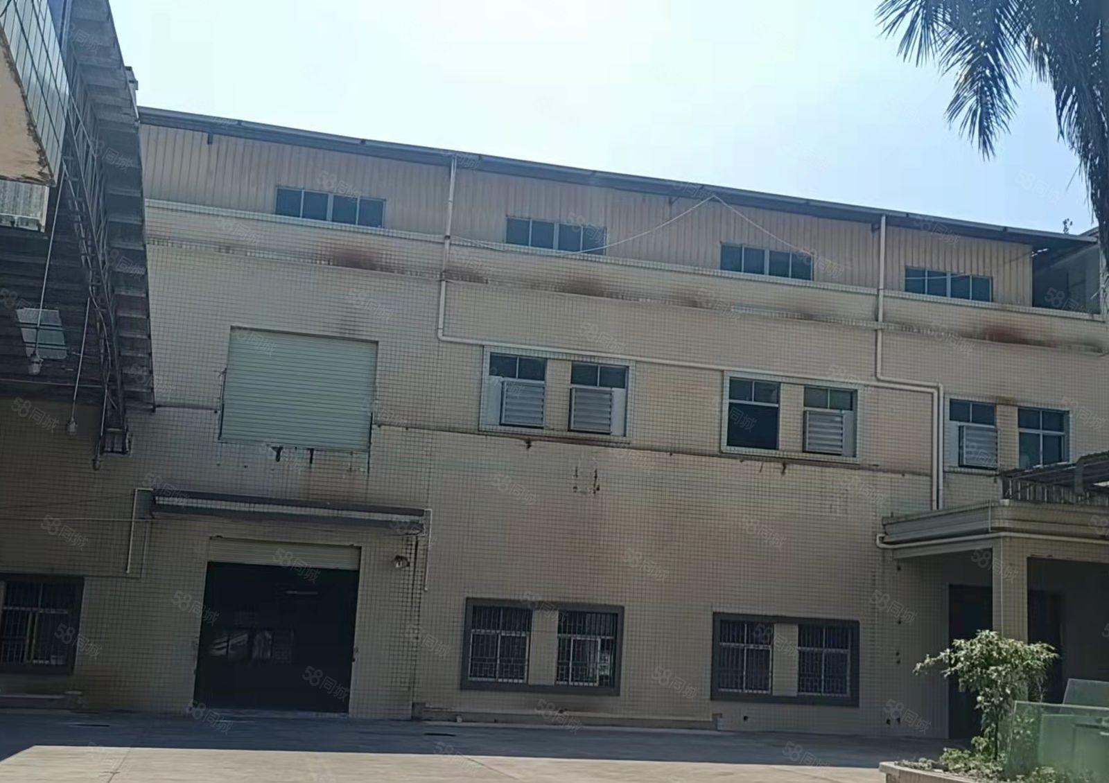 新出，特价工业厂房出租大朗原房东独院7200平方，大小可分租