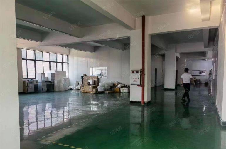 房东急租 大朗洋乌5000平方独院厂房 形象非常漂亮