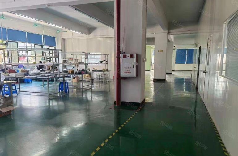 房东急租 大朗洋乌5000平方独院厂房 形象非常漂亮