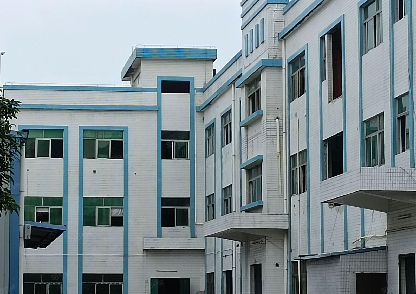 东莞周边原房东个人厂房直租一楼层高独门独户