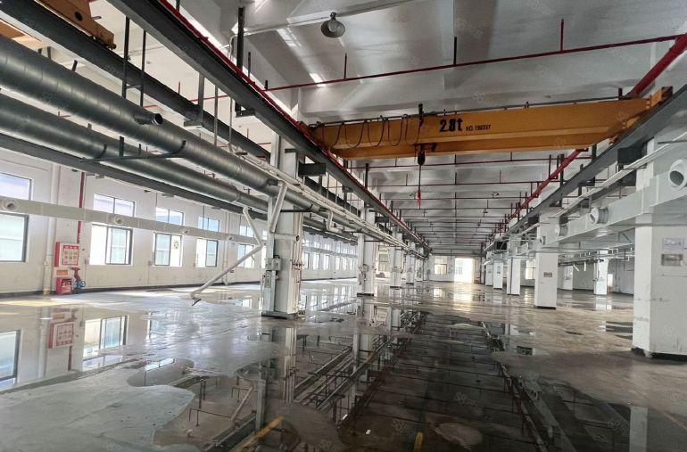 大朗镇大井头一楼6米高厂房4000平低价厂房出租