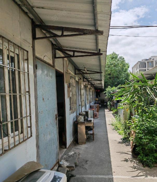 单一层钢结构厂房4000平出租