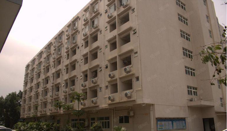 东莞 大朗 原房东 500平 全新厂房出租