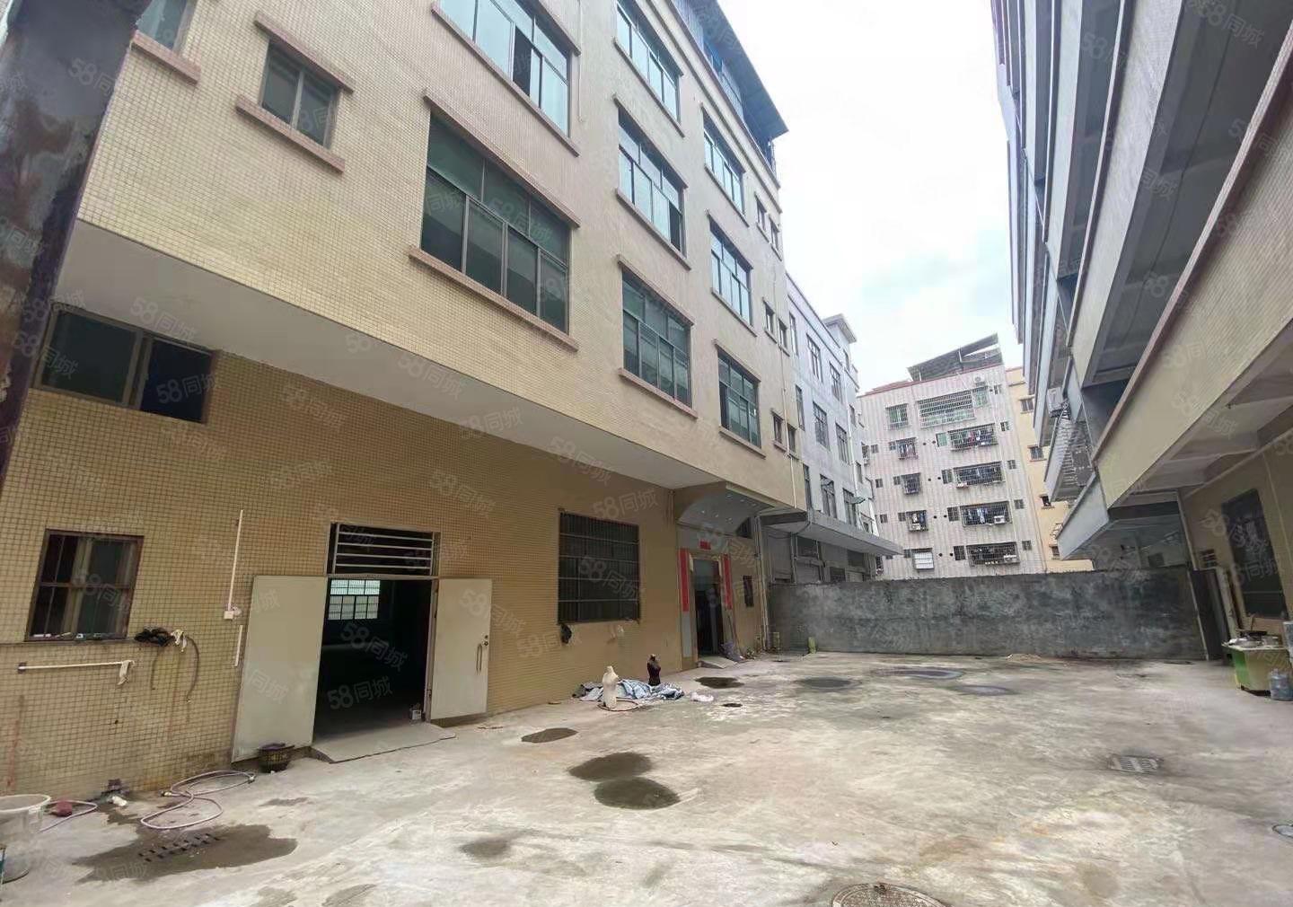 大朗高英莞樟路旁原房东独院二楼1100平九成新厂房出租有红本