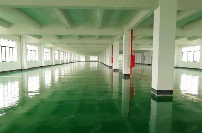 大朗临近深圳 楼上800平方电子厂房出租 9元带装修