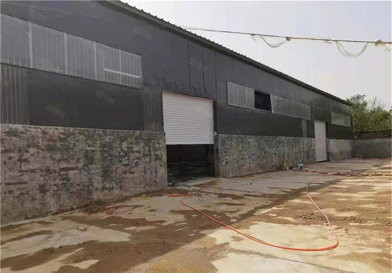 大朗原房东独院钢构厂房出租单一层750平方，超大空地仓库多用