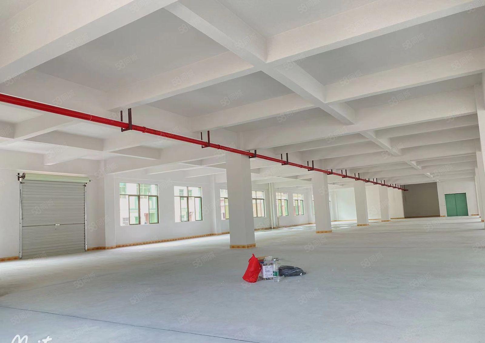 个人独院厂房低价出租！大朗盈丰路9号厂房1300平可分有环评