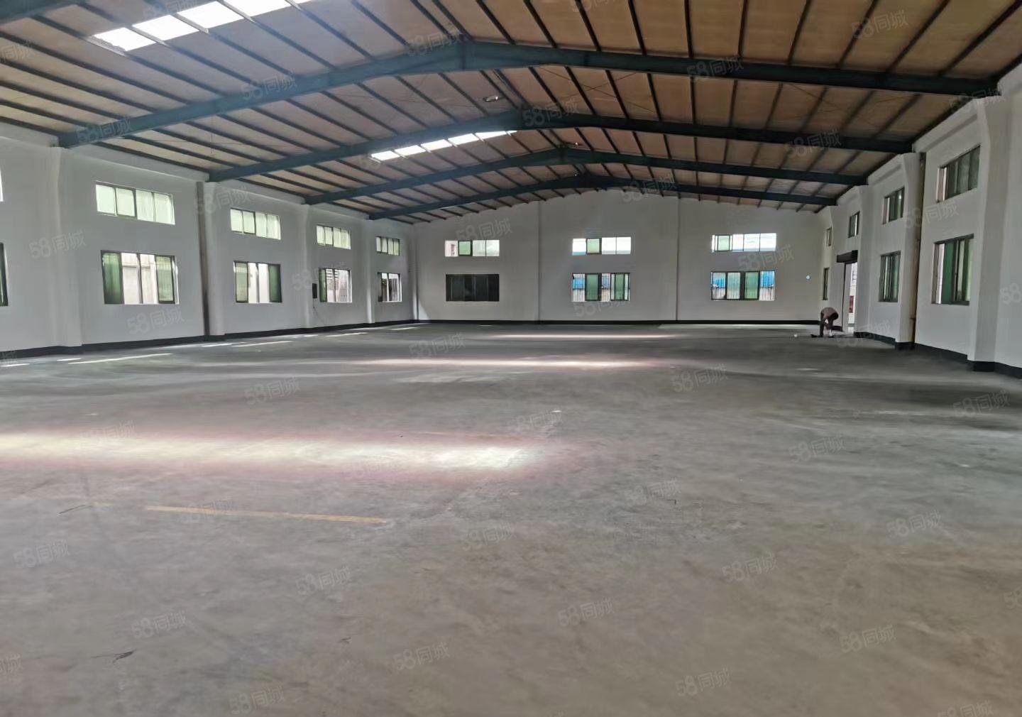 大朗镇沙步村，新出独院单一层厂房总面积2500平，交通便利