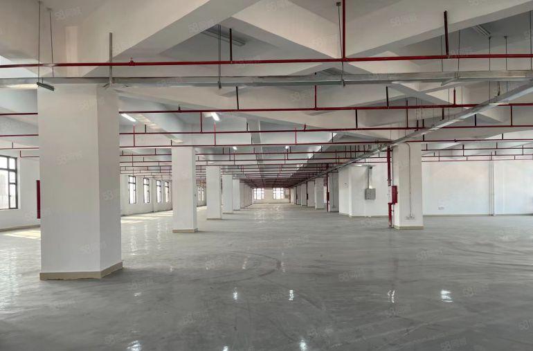 大朗靠近高速路口新出全新原房东厂房招租一楼8米高，特价出租！