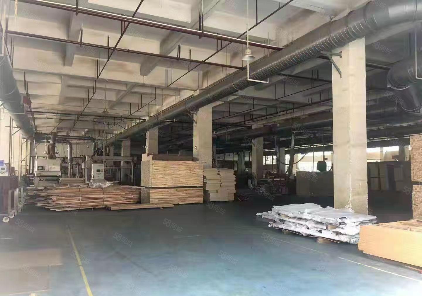 大朗靠近松山湖片区新出原房东红本厂房54000平方现成装修