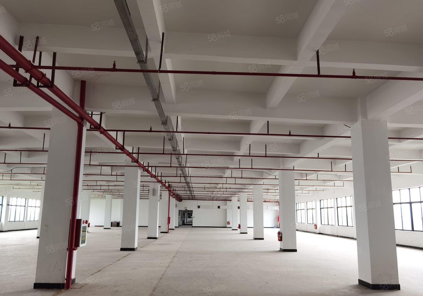 大朗喷油喷粉烤漆酸洗磷化电泳研磨丝印园区厂房出租