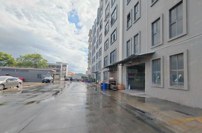 大朗镇新马莲标准一楼1400，高度8米，交通方便，电按需