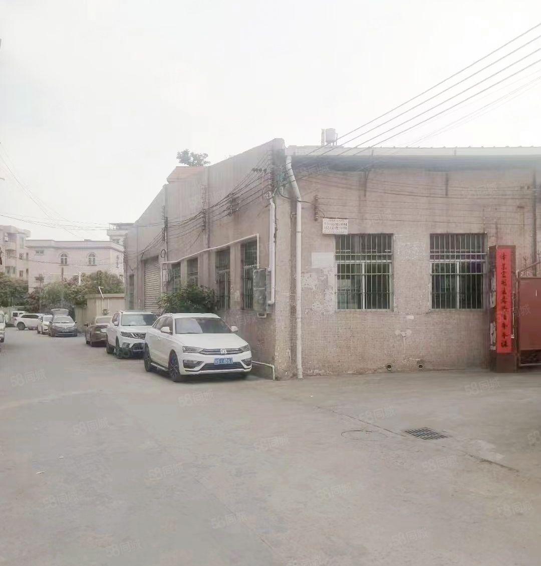 大朗镇巷头原房东 单一层2000平方交通方便适合仓储 物流等