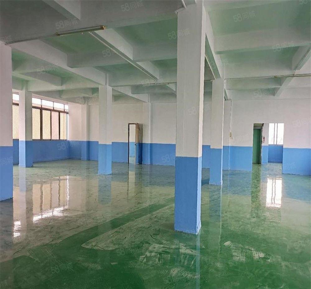 大朗花园式工业厂房实业户分租3楼670平方，外观大气交通便利