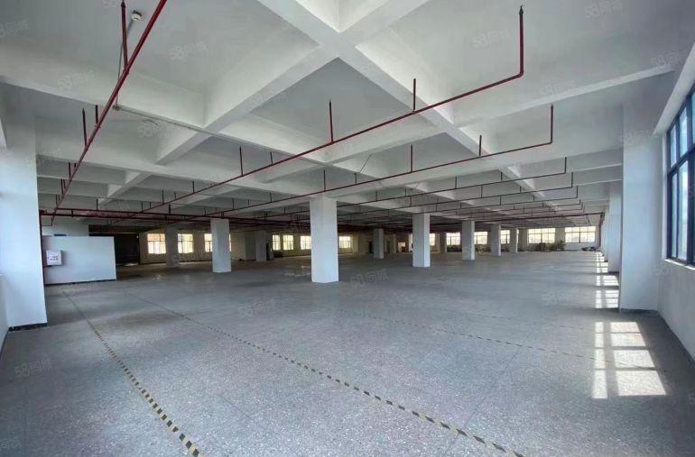 松木山原房东高新厂房出租，带全新现成办公室，适合电子电商贸易