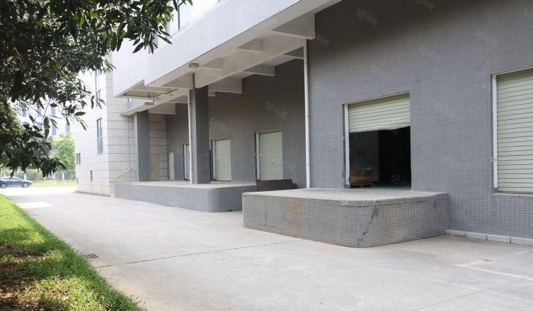 东莞 大朗 原房东 500平 全新厂房出租