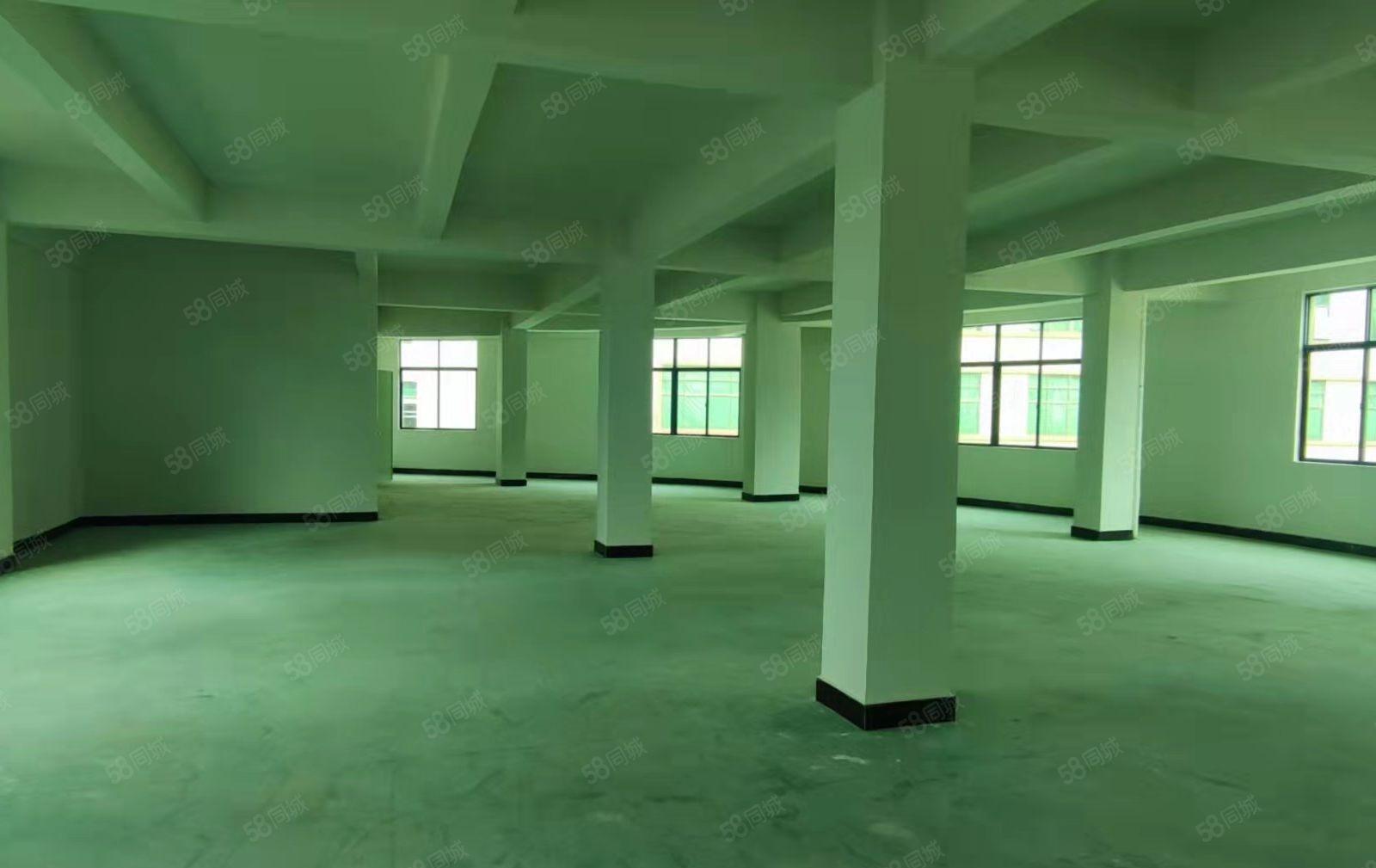 大朗竹山原房东独栋厂房出租，交通方便价格低