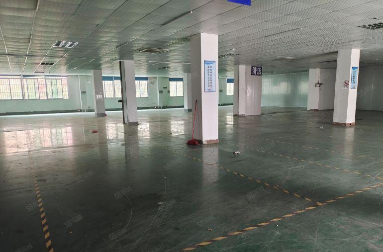 大朗松山湖精装1400平厂房诚意出租 配电按需 园区停车免费