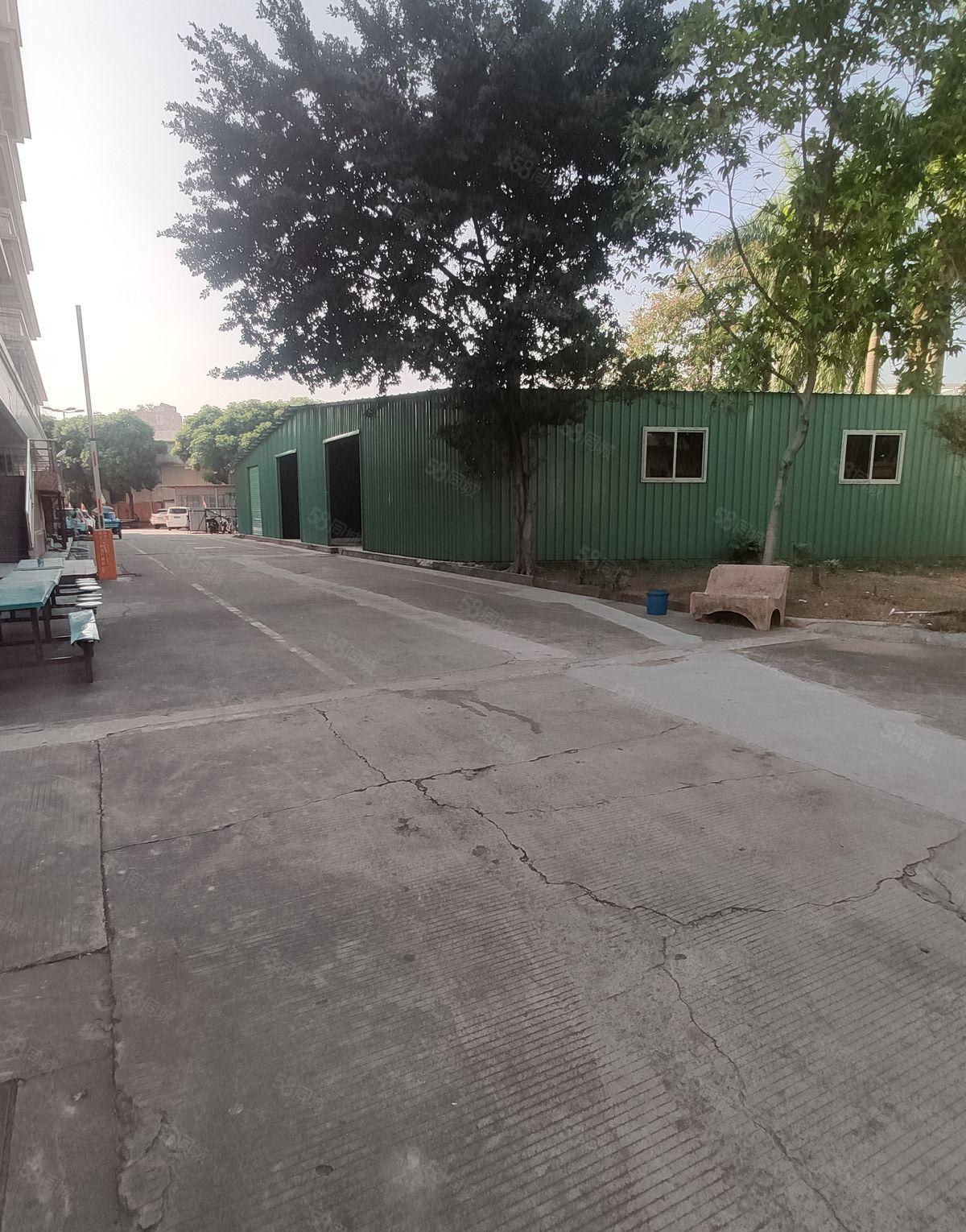 大朗便宜小钢构 交通方便路大，可作加工仓库