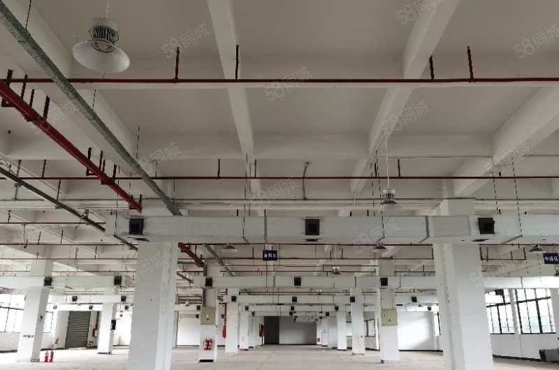 大朗新出原房东分租三楼厂房。实际面积出租。花园式厂房