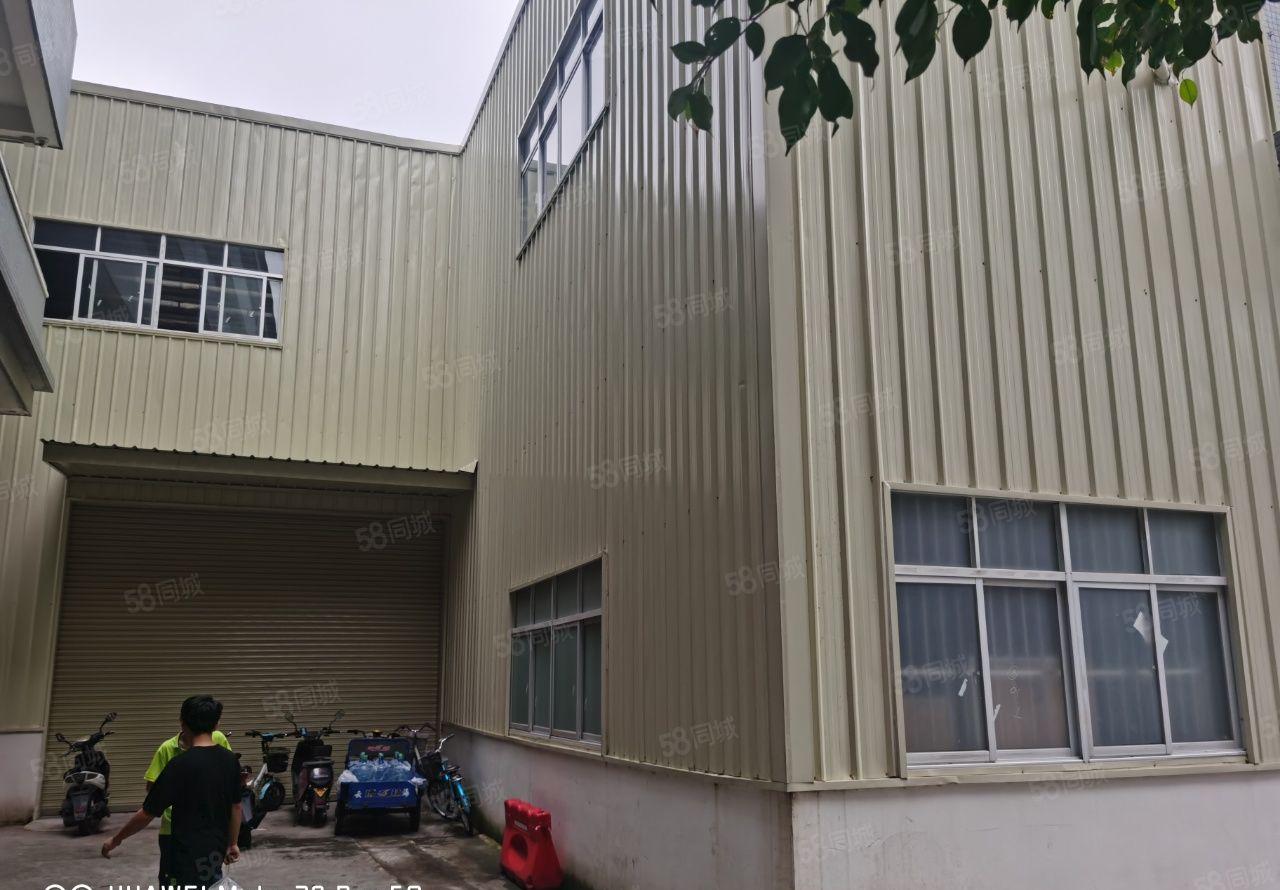 大朗镇原房东一手经典独院厂房，现成装修水电齐全，可以办环评