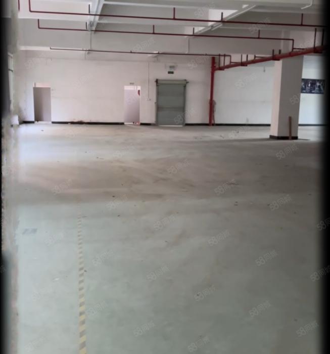 大朗靠大岭山独院二楼带办公室1000平厂房出租 现成环评