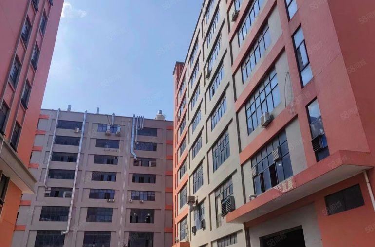 大朗镇全新地坪漆以及精装修办公室