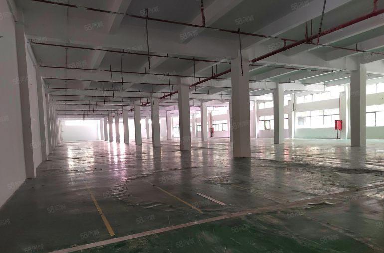 大朗独院厂房出租原房东一楼3000方仓库出租租厂房分租找厂房