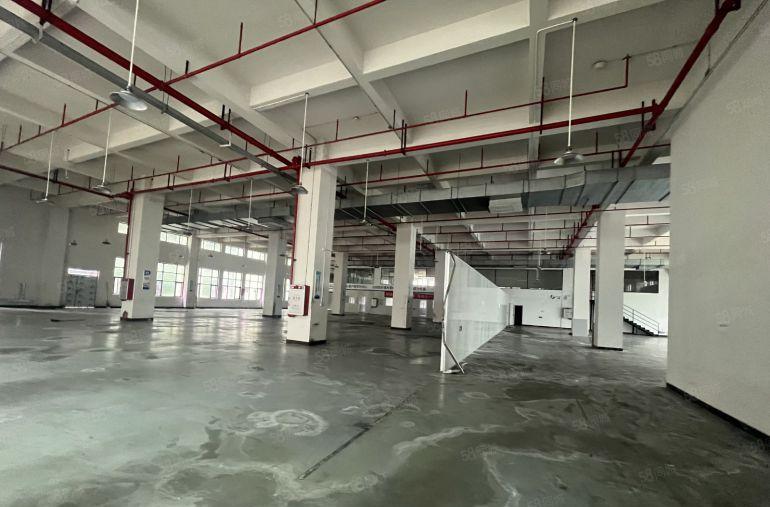 大朗镇新出工业园一楼2000平带豪华精装办公室厂房出租