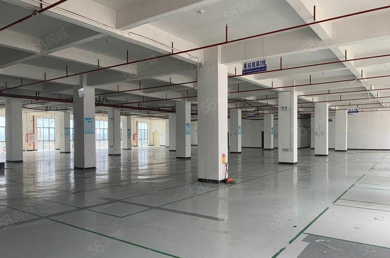 10元签合同 大朗蔡边独栋二楼600平方厂房 即租即用