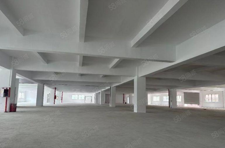 大朗富民工业区独院厂房出租3200平超大空地可分租