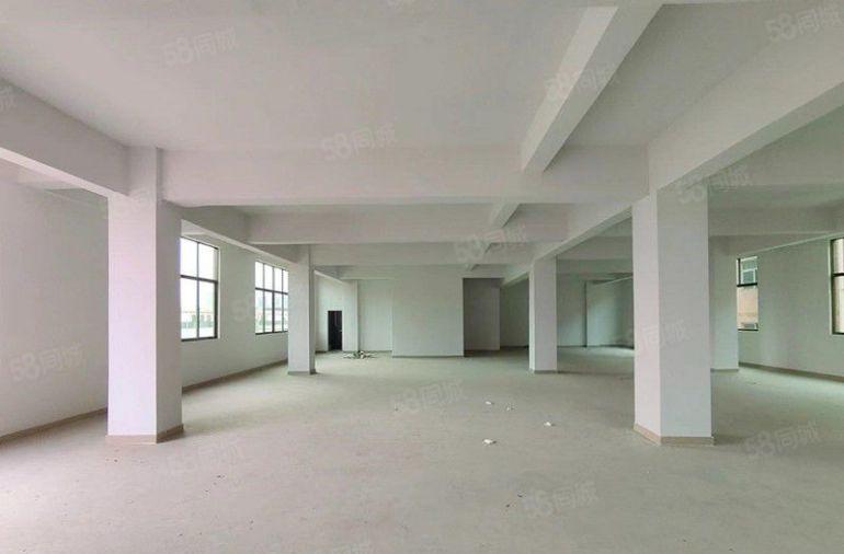 带电梯 大朗原房东两层1000平方独栋厂房 9元全包