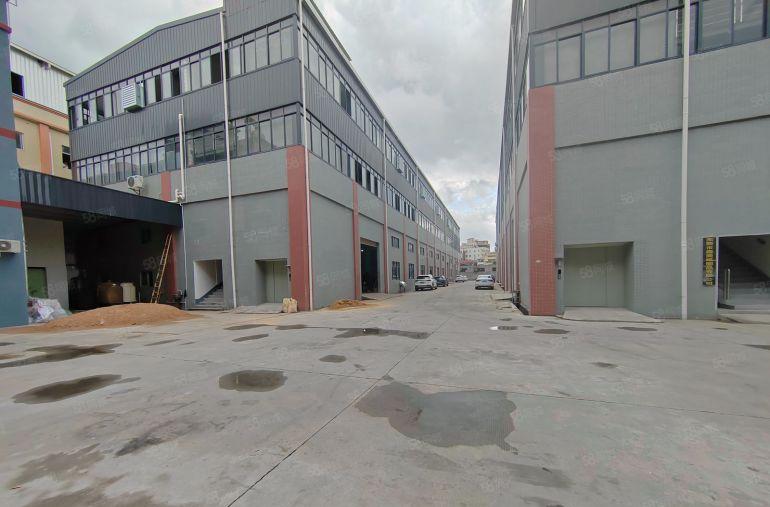 大朗镇石厦标准厂房一楼1300平方米，交通方便，高度7米