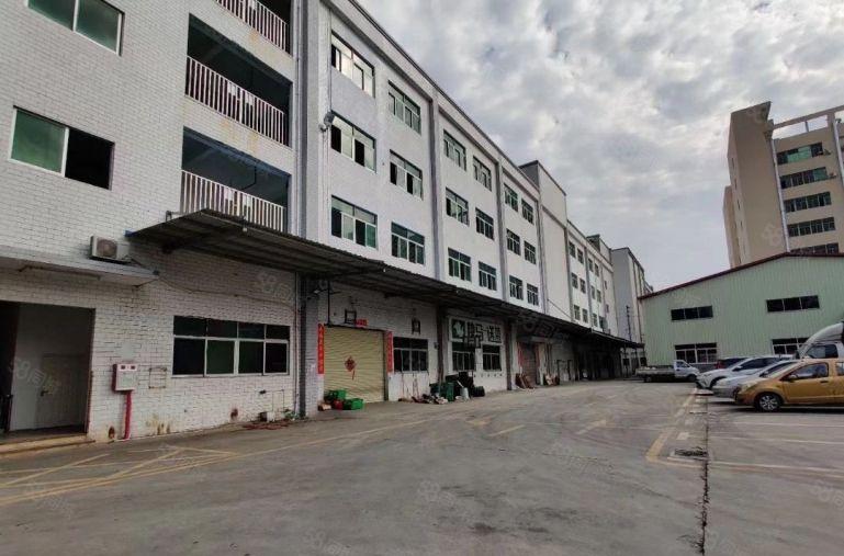 大朗镇大井头一楼6米高厂房4000平低价厂房出租