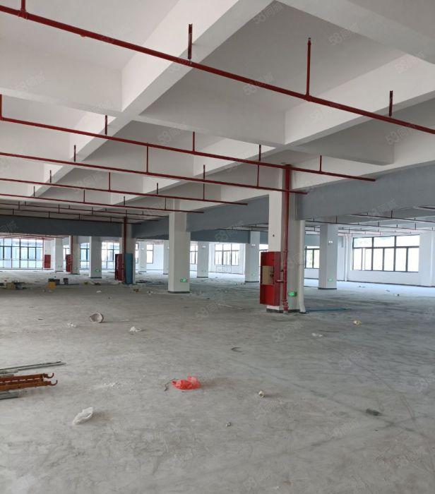 大朗富民工业城全新独院标准厂房35000平可分租