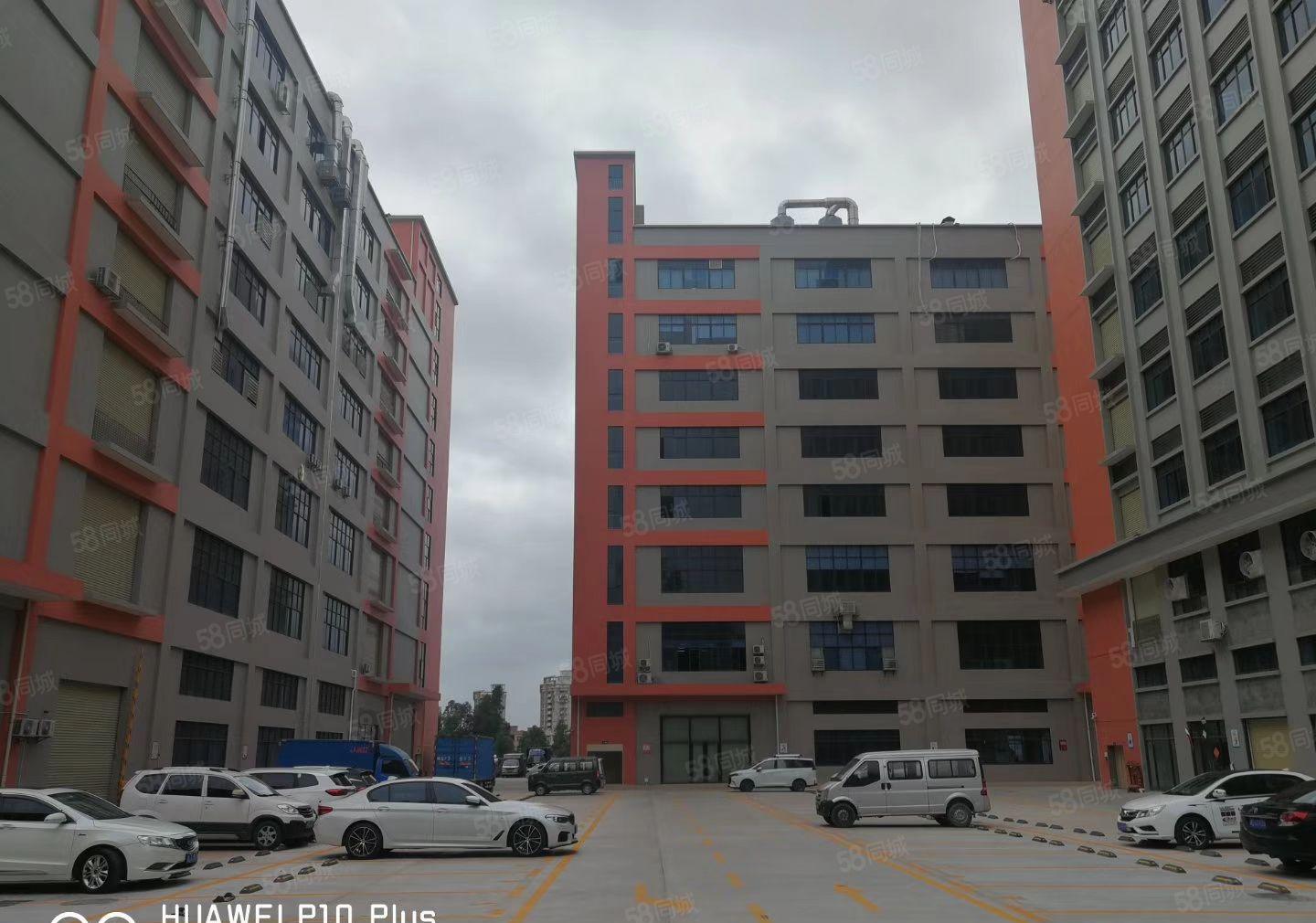 大朗镇新出无尘车间1800平