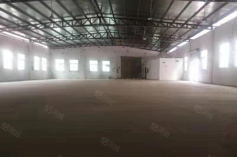 大朗镇沙步村，新出独院单一层厂房总面积2500平，交通便利