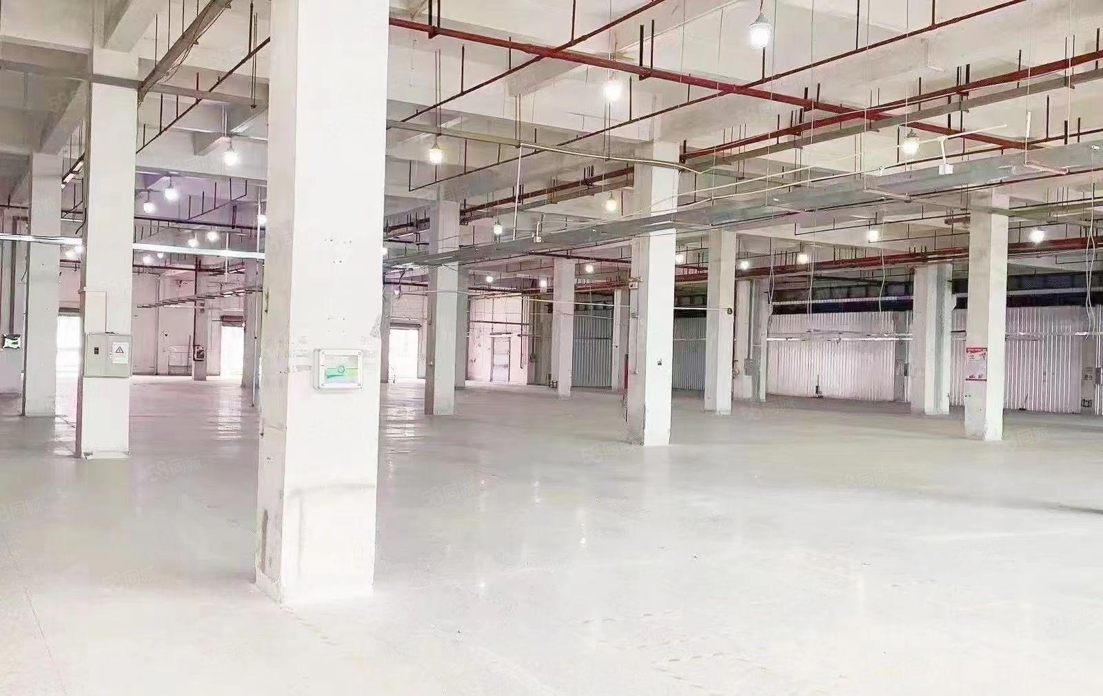 大朗镇新出花园式独院二层厂房13000平方宿舍2千空地3千平