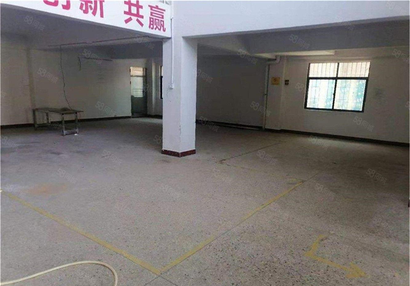 大朗原房东仓库钢构厂房出租单一层950平方，送小阁楼办公室