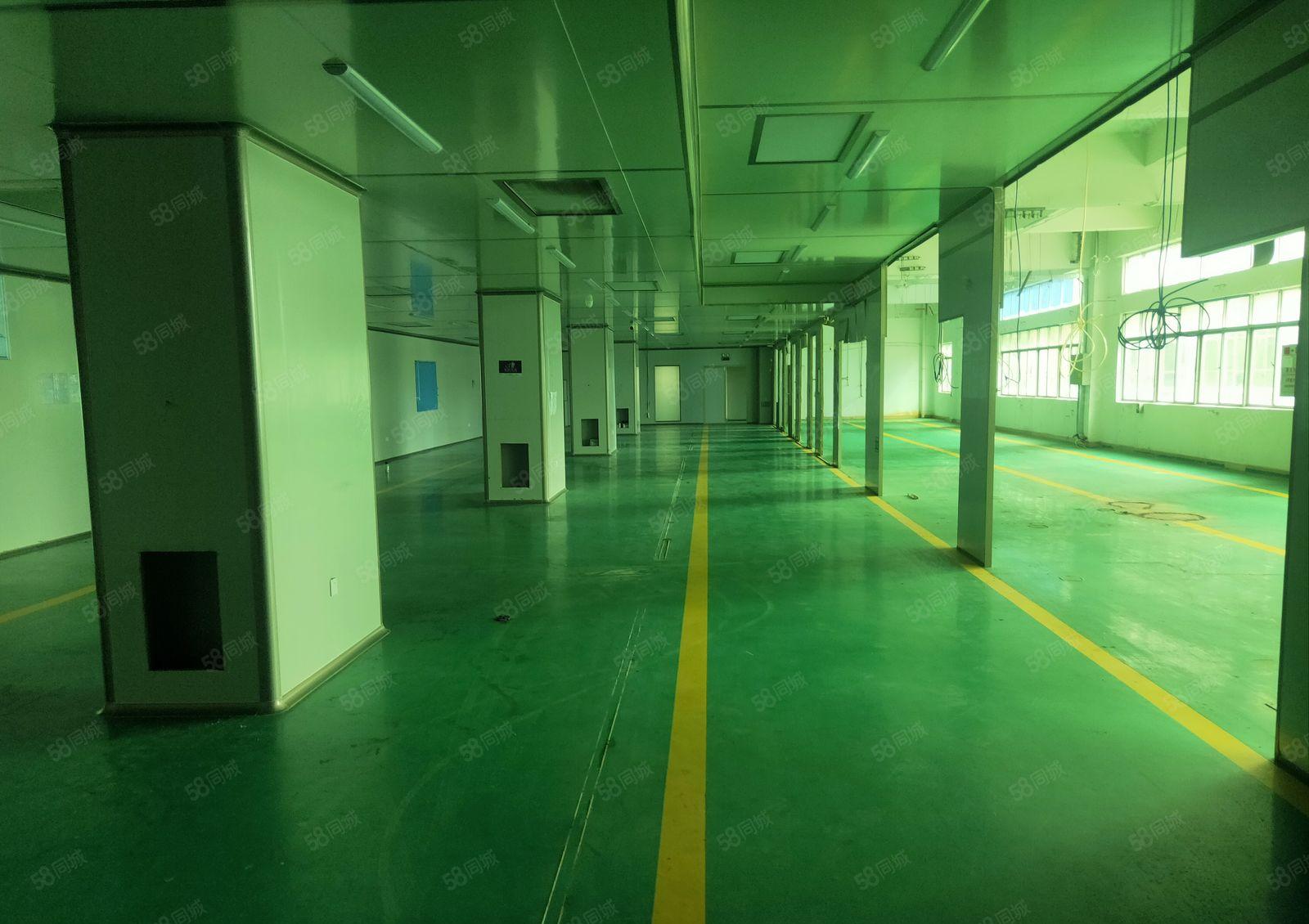 大朗象山工业区新出二楼精装厂房1700平出租，办公及水电齐全