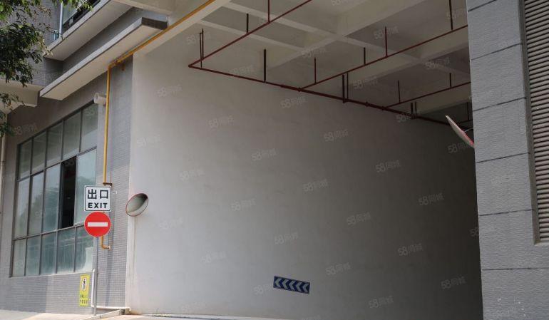 东莞大朗 原房东 800平 全新厂房出租