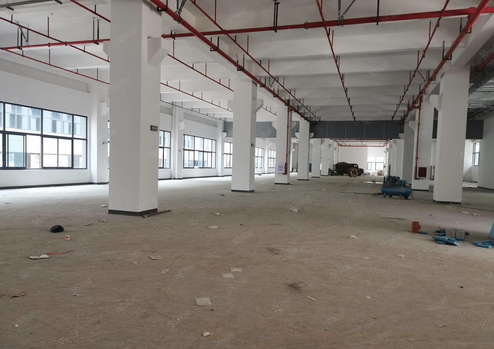大朗洋乌村全新重工业厂房出租楼上层高6米承重2吨面积可分