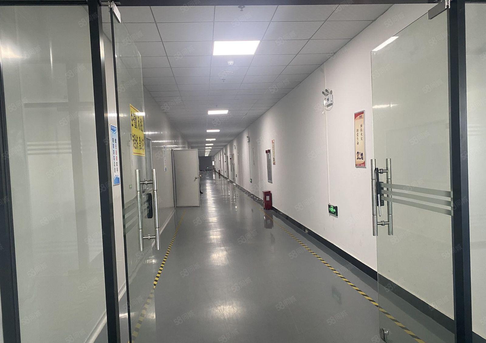 松山湖十万级无尘车间9000平方，全部带精装修，大小可分租，