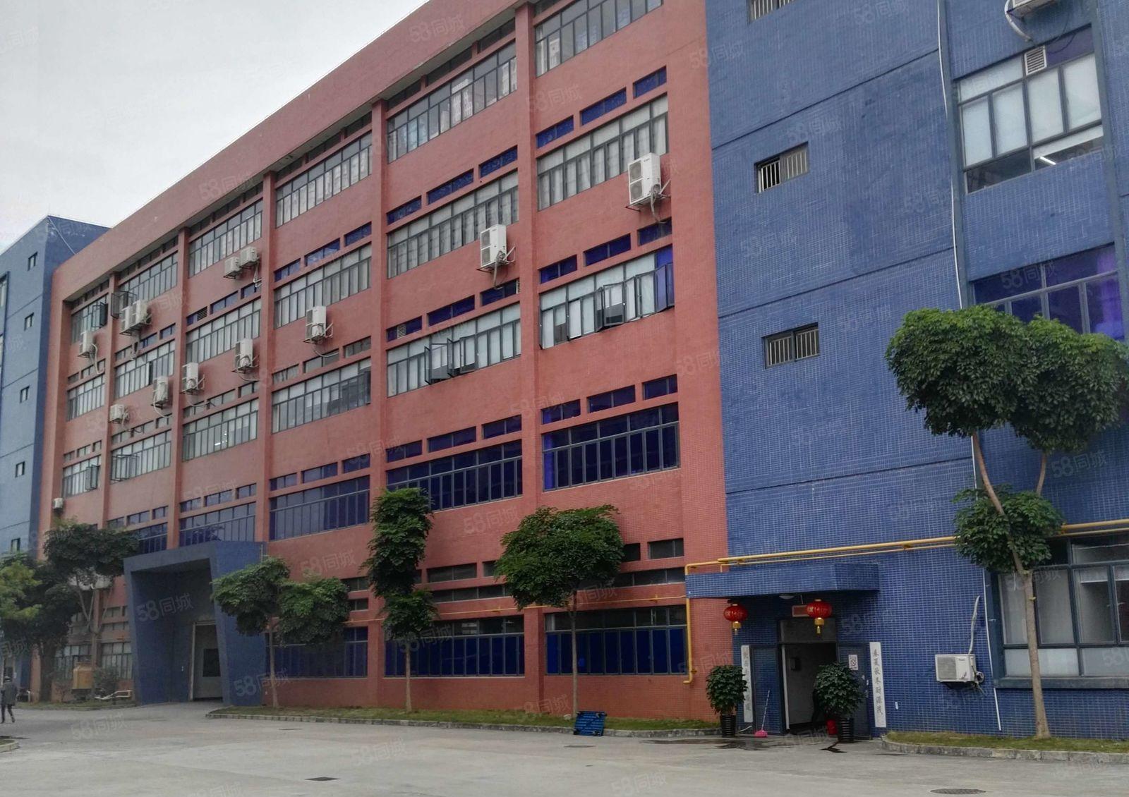 松山湖高新开发区九成新独院110000方工业厂房出租！